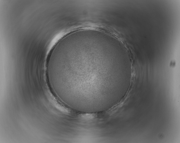 X0000111790102200907301154