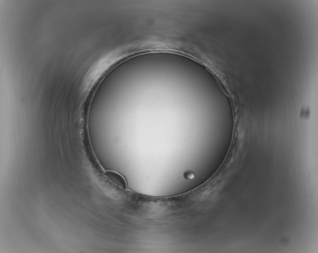 X0000111790103200907301154