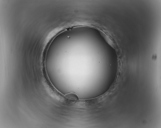 X0000111790104200907301154