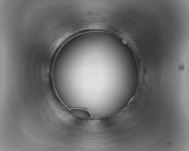 X0000111790108200907301154