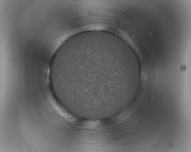 X0000111790110200907301154