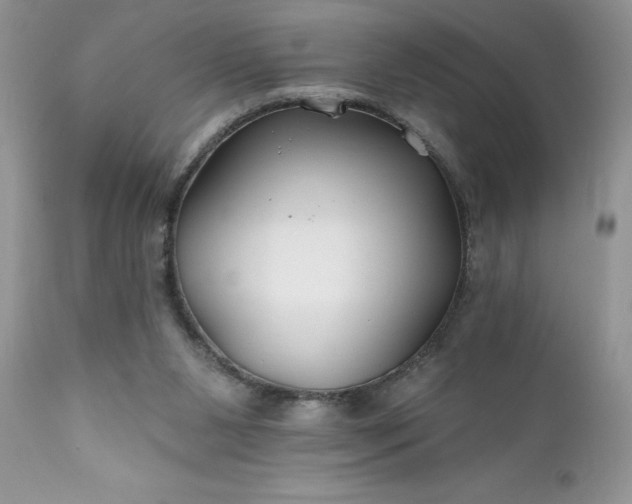 X0000111790111200907301154