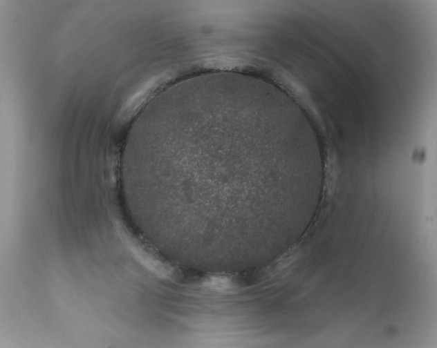 X0000111790114200907301154