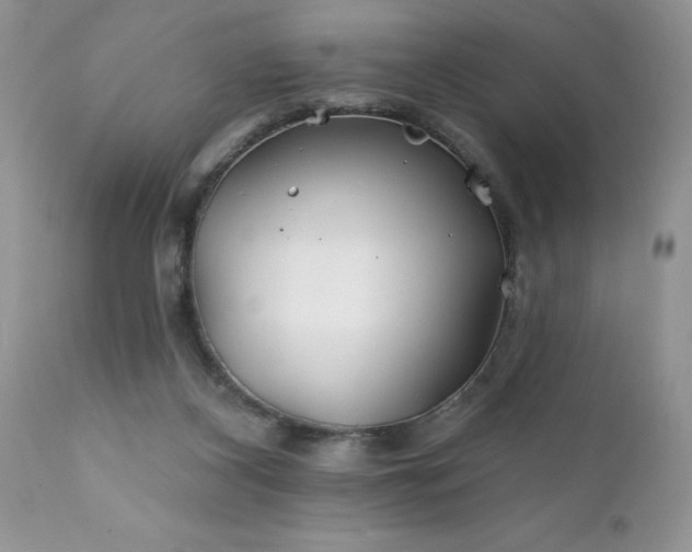 X0000111790116200907301154