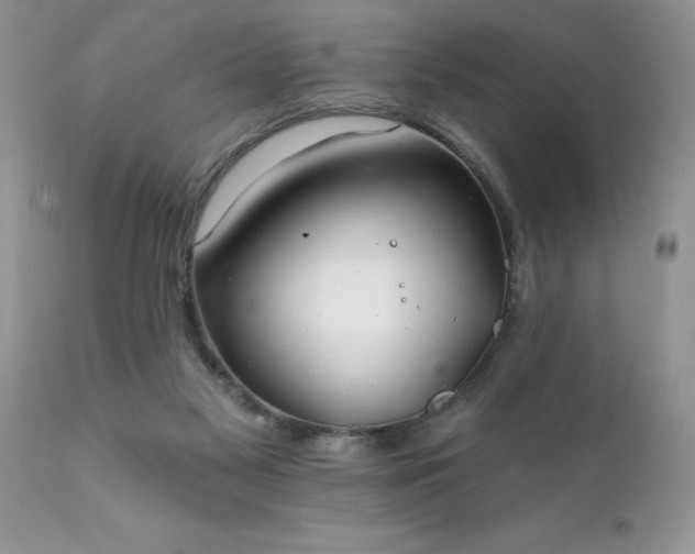 X0000111790117200907301154