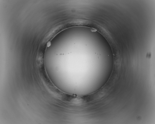 X0000111790119200907301154