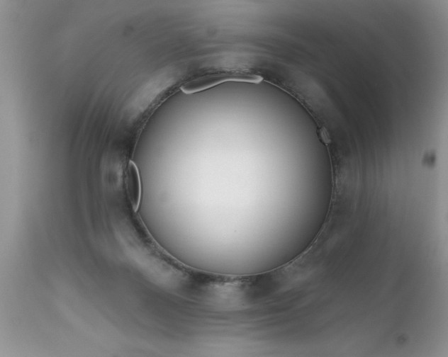 X0000111790120200907301154