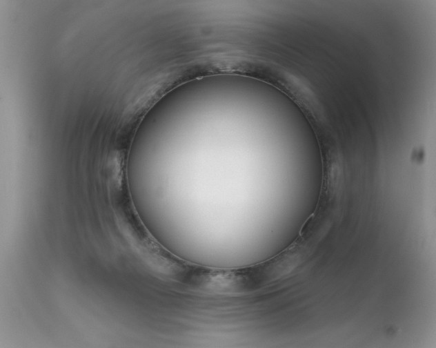 X0000111790121200907301154