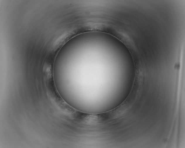 X0000111790123200907301154