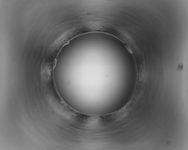 X0000111790124200907301154