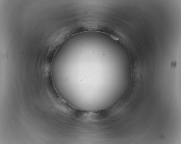 X0000111790125200907301154