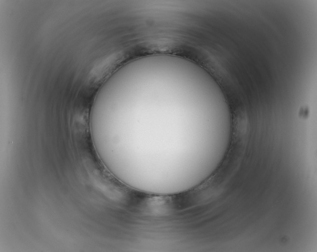 X0000111790126200907301154