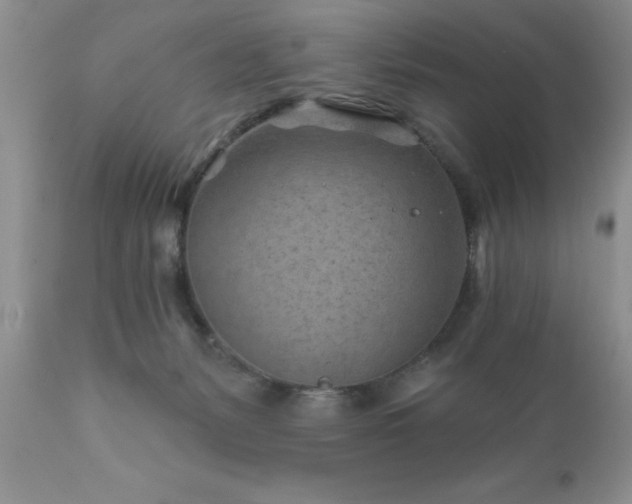 X0000111790127200907301154