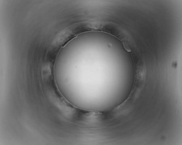 X0000111790128200907301154