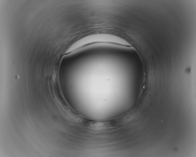 X0000111790129200907301154