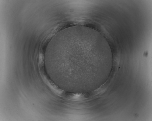 X0000111790130200907301154