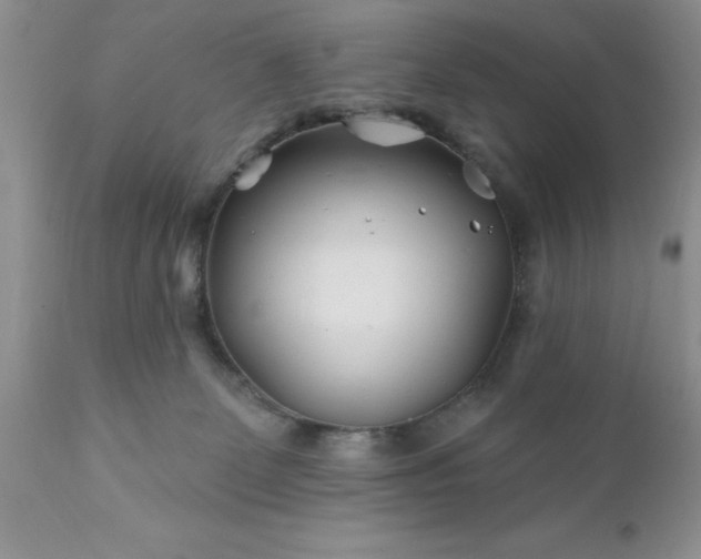 X0000111790131200907301154