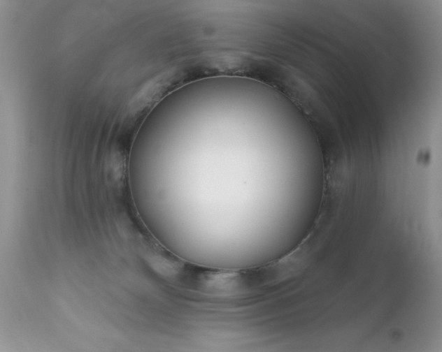 X0000111790132200907301154