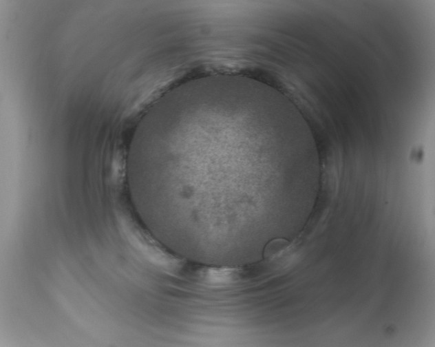 X0000111790134200907301154