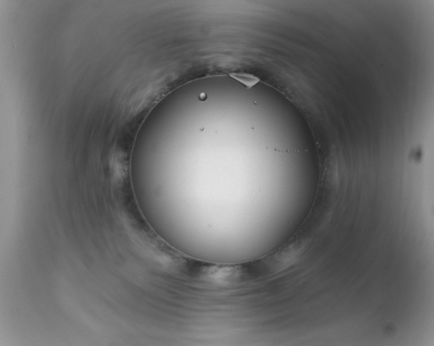 X0000111790135200907301154