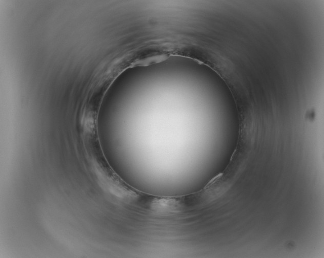 X0000111790137200907301154