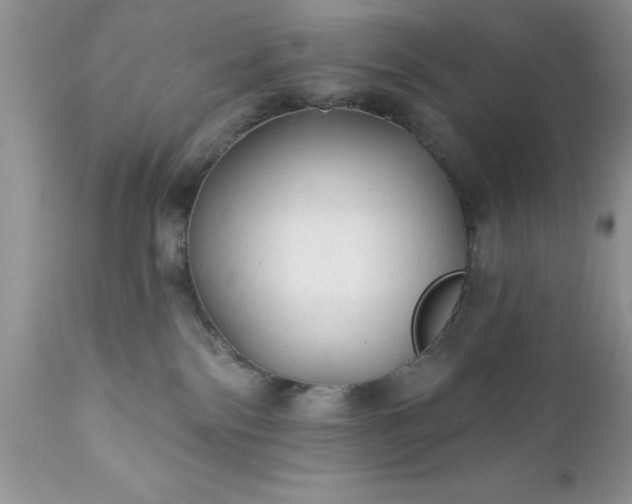 X0000111790138200907301154