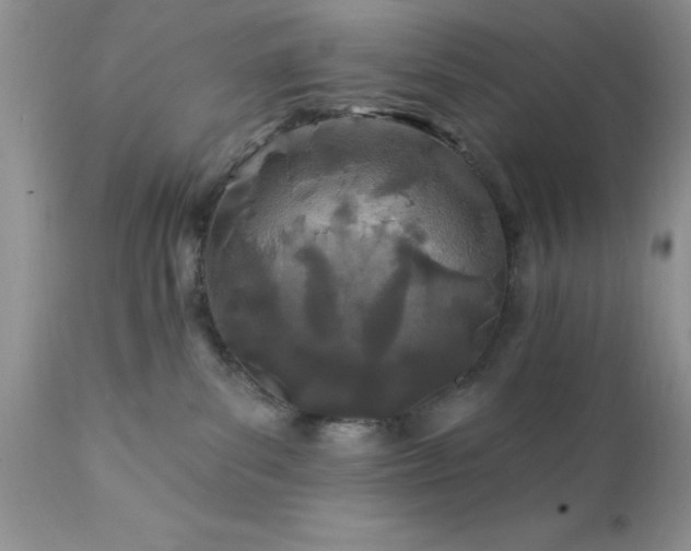 X0000111790139200907301154