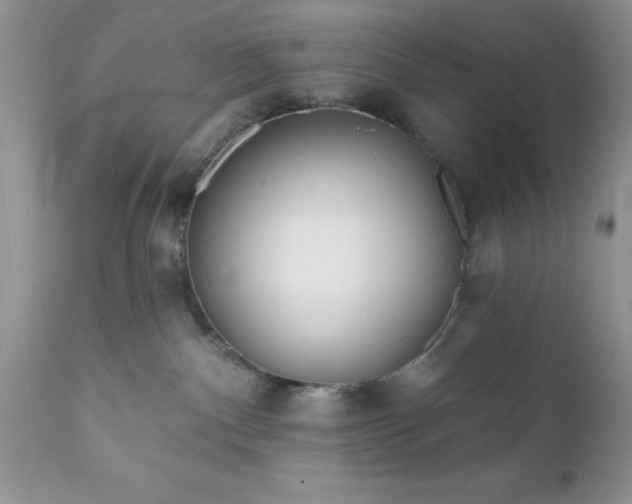 X0000111790140200907301154