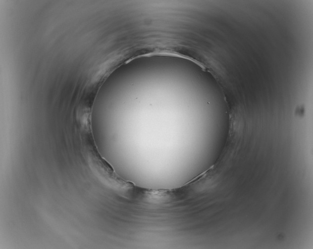 X0000111790141200907301154