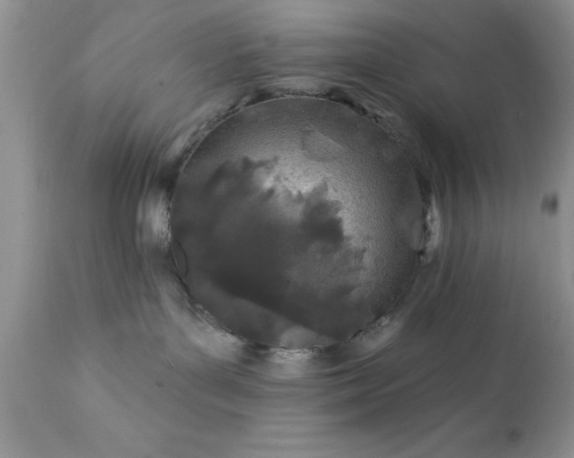 X0000111790143200907301154