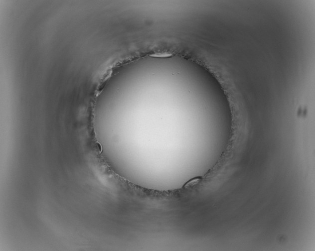 X0000111790144200907301154