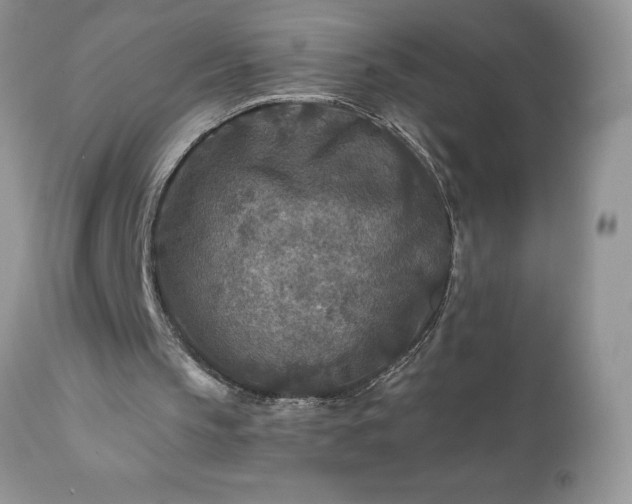 X0000111790145200907301153