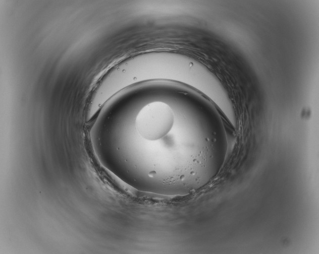 X0000111790146200907301153