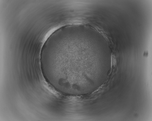 X0000111790147200907301153