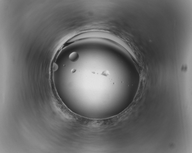 X0000111790148200907301153