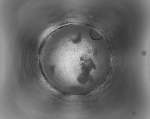 X0000111790149200907301153