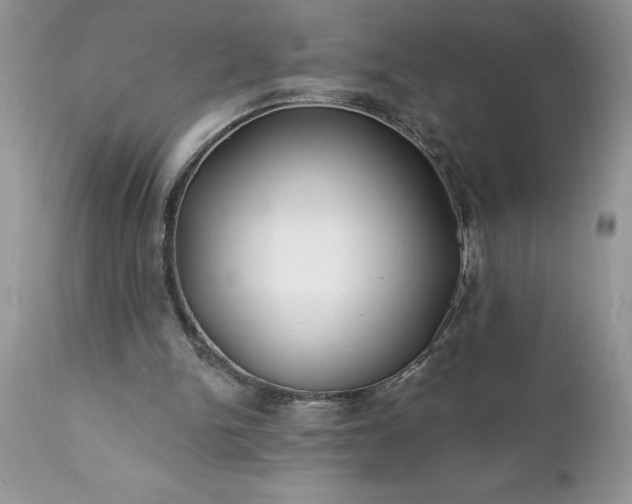 X0000111790150200907301153