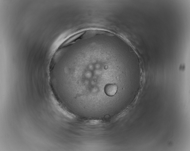 X0000111790151200907301153