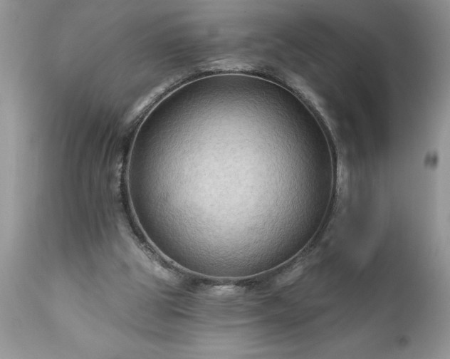 X0000111790153200907301153