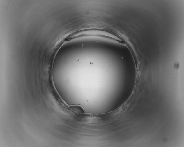 X0000111790154200907301153