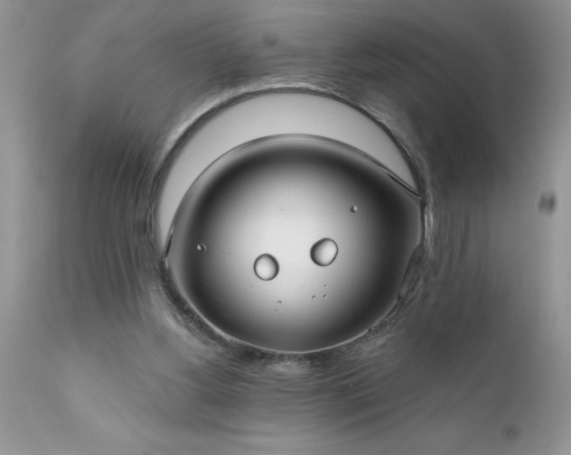 X0000111790156200907301153