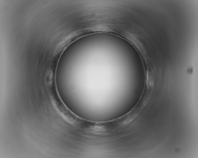 X0000111790157200907301153