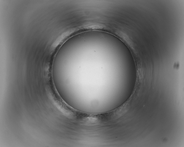 X0000111790159200907301153