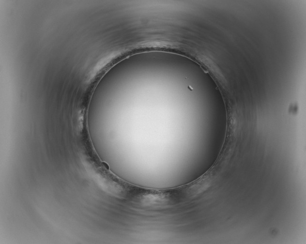 X0000111790160200907301153