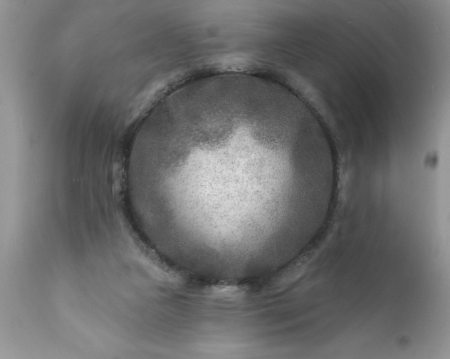 X0000111790161200907301153