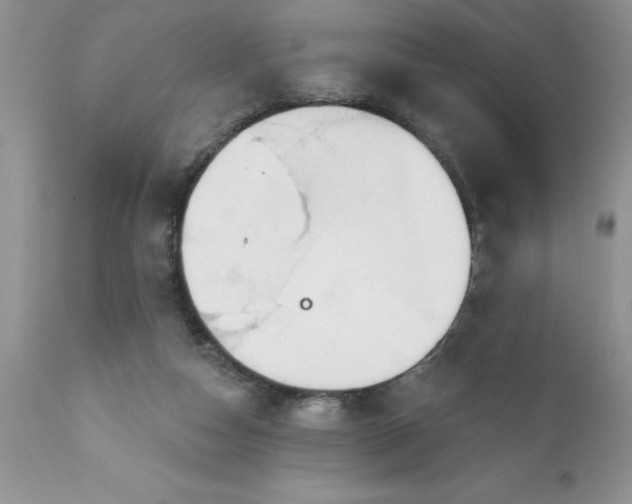 X0000111790162200907301153