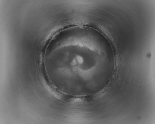 X0000111790163200907301153