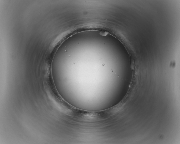 X0000111790164200907301153