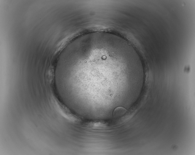 X0000111790165200907301153