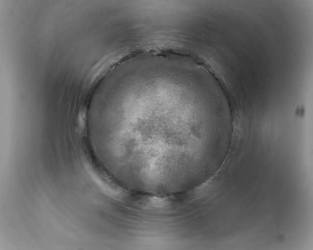 X0000111790166200907301153